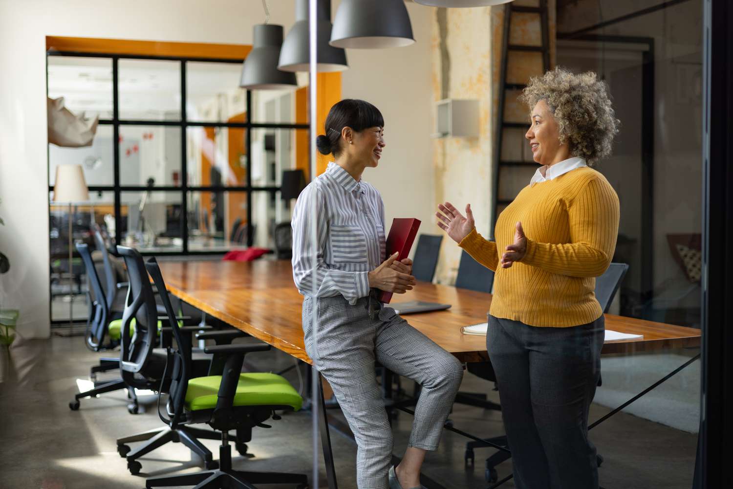 Two women engaged in a discussion in a modern office.