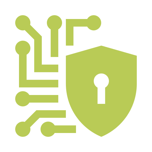 cyber-security